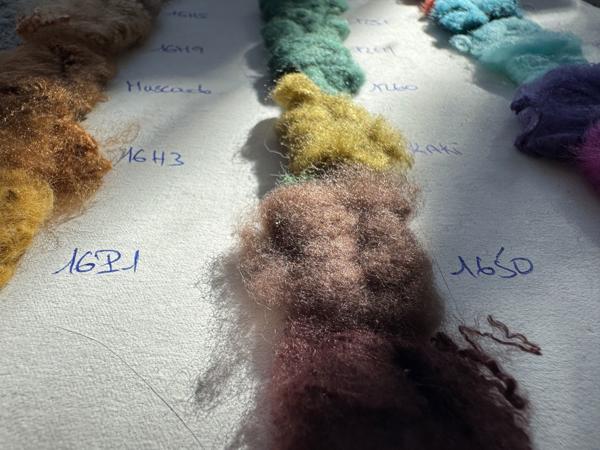 Fibers